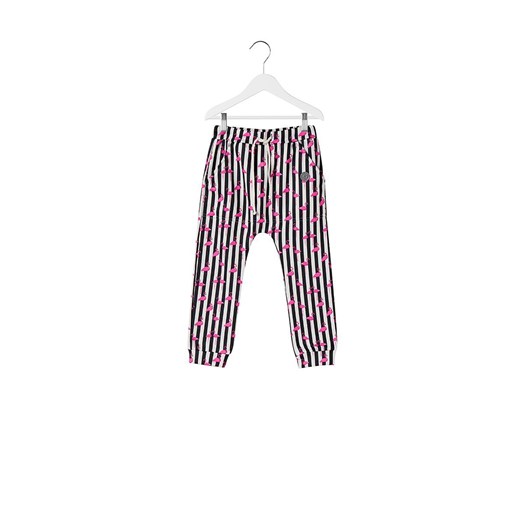 Spodnie Joggers Kids Flamingo Stripes Colorshake  11-13 Colorshake Store