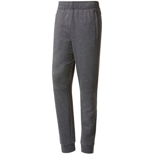 Spodnie dresowe męskie Workout Pant Adidas (szare)