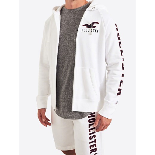 Bluza męska Hollister na jesień w stylu młodzieżowym