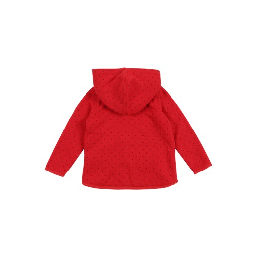 Sweter dziewczęcy Gap bawełniany 