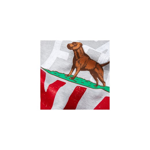 Bluza z kapturem Pit Bull California Flag - Szara (128007.1500)  Pit Bull West Coast S ZBROJOWNIA