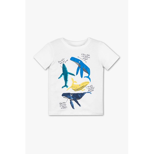 T-shirt chłopięce Palomino na wiosnę bawełniany 