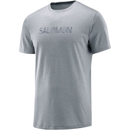 Koszulka męska Agile Graphic Tee Salomon (alloy)  Salomon XL SPORT-SHOP.pl