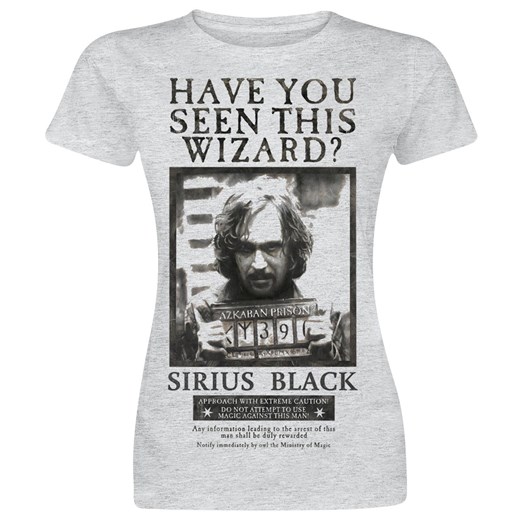 Harry Potter - Have you seen this wizard? - T-Shirt - odcienie jasnoszarego
