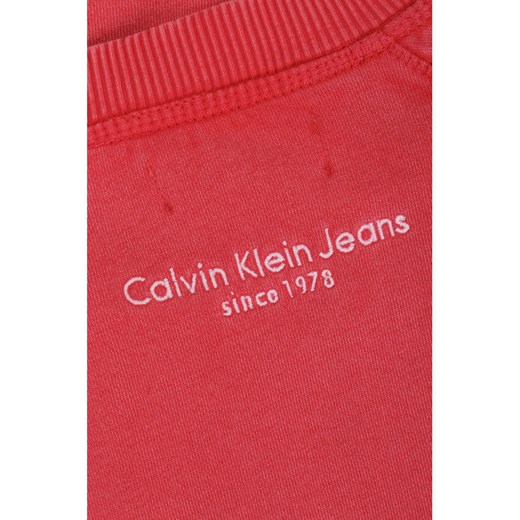 Bluza męska Calvin Klein bez wzorów jesienna 