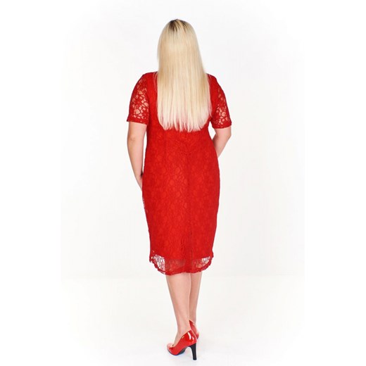 Sukienka Ptakmoda.com koronkowa dla puszystych czerwona z okrągłym dekoltem z krótkim rękawem 