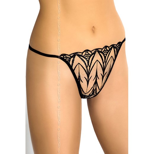 Axami V-5008 Lily stringi