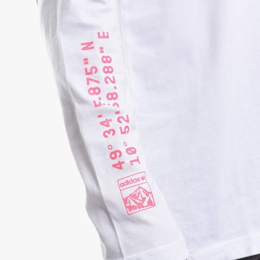 Koszulka męska adidas Originals Graphic Tee Longsleeve Injection Pack FR0585