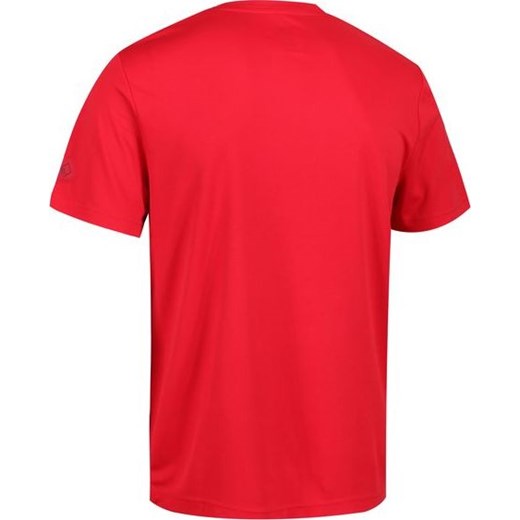 Męska koszulka Regatta RMT162 FINGAL III Czerwona Regatta  S wyprzedaż Outdoorkurtki 