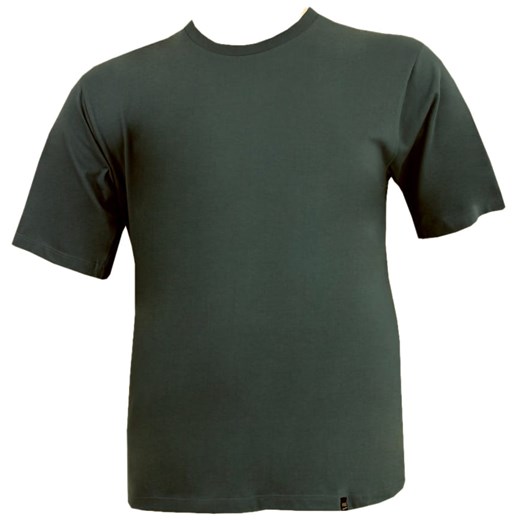 T-shirt męski Viking zielony z krótkim rękawem 