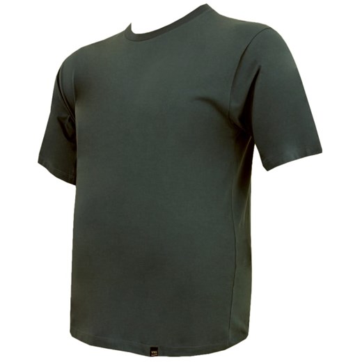 T-shirt męski Viking zielony bez wzorów z krótkim rękawem 