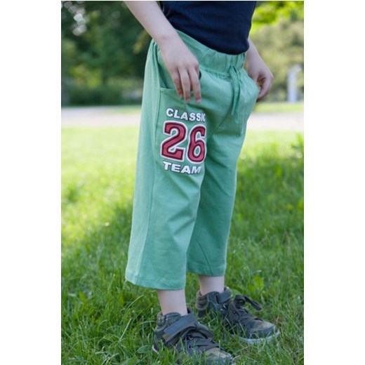 Spodnie dziewcięce zielony DZ6005