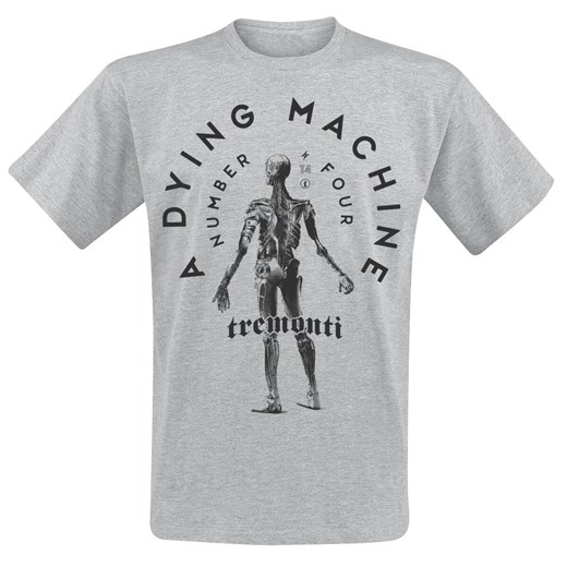 T-shirt męski Tremonti szary młodzieżowy 