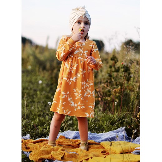 Odzież dla niemowląt Little Gold King pomarańczowy dziewczęca 