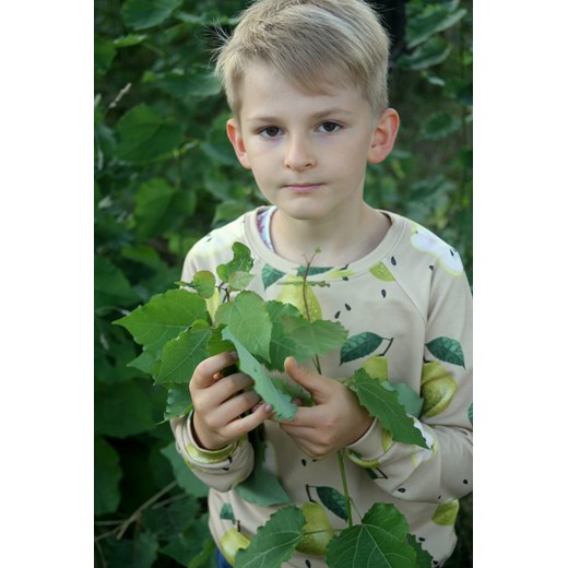 Bluza PEAR beige Little Gold King Little Gold King 116
