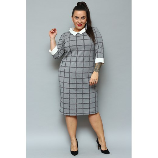 Sukienka pensjonarka WIOLA z białym kołnierzykiem szara w srebrną kratę plus size karko.pl