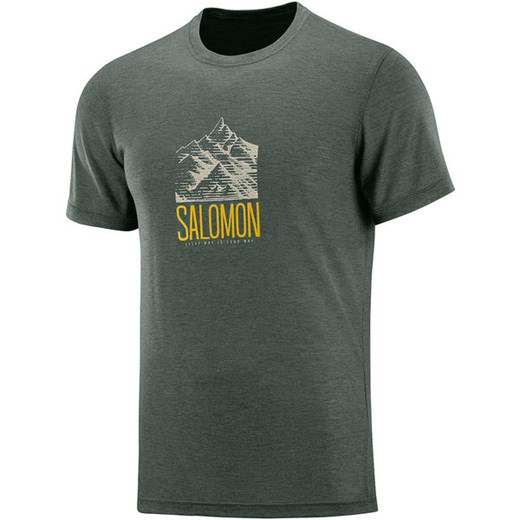 Koszulka męska Explore Graphic SS Tee Salomon (balsam green)