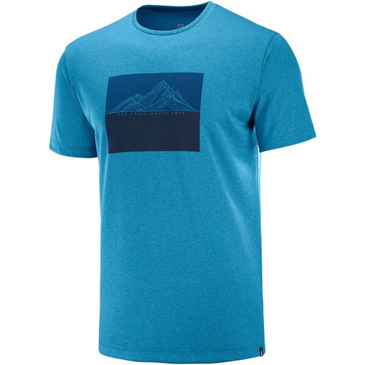 Koszulka męska Agile Graphic Tee Salomon (fjord blue/heather)