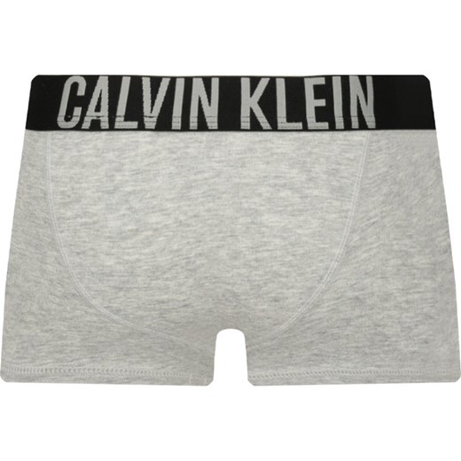 Majtki dziecięce Calvin Klein Underwear chłopięce 