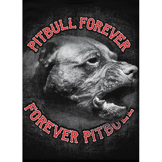 Pit Bull West Coast t-shirt męski wielokolorowy bawełniany 