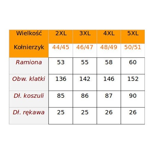 Duża KOSZULA Triwenti KR Kostka