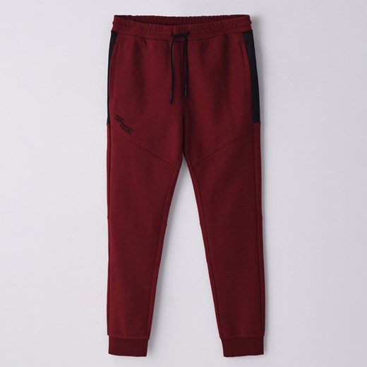 Cropp - Dresowe spodnie z organiczną bawełną - Cropp XXL Cropp