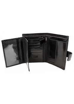 calvin klein orientacja