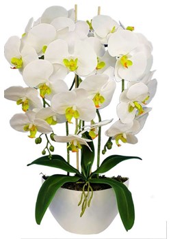 Biały storczyk orchidea- kompozycja kwiatowa 60 cm 3PGB ze sklepu Pantofelek24.pl w kategorii Dekoracje - zdjęcie 109604916