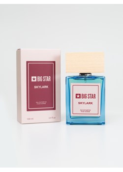 Woda perfumowana męska cytrusowo-kwiatowo-drzewna Skylark 100 ml ze sklepu Big Star w kategorii Perfumy męskie - zdjęcie 133512787