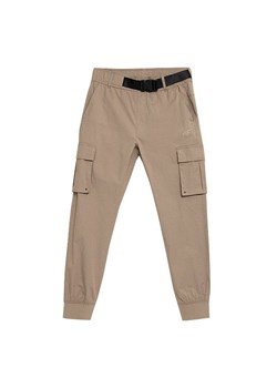 Spodnie męskie H4Z21 SPMC012 4F ze sklepu SPORT-SHOP.pl w kategorii Spodnie męskie - zdjęcie 138178095