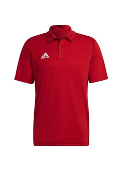 Koszulka męska polo Entrada 22 Polo Adidas ze sklepu SPORT-SHOP.pl w kategorii T-shirty męskie - zdjęcie 138197637