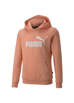 Bluza juniorska Essentials Logo Hoodie Puma ze sklepu SPORT-SHOP.pl w kategorii Bluzy dziewczęce - zdjęcie 138215816