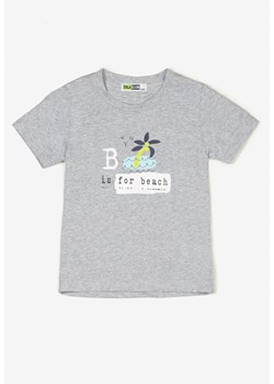 T-shirt chłopięce born2be - Born2be Odzież