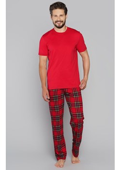 Narwik piżama męska z krótkim rękawem i krótkimi spodenkami, Kolor czerwony-kratka, Rozmiar S, Italian Fashion ze sklepu Intymna w kategorii Piżamy męskie - zdjęcie 140676099