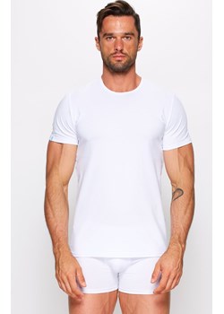 Koszulka męska t-shirt z krótkim rękawem biały 01/9-82/2, Kolor biały, Rozmiar L, Fabio Undercare ze sklepu Primodo w kategorii T-shirty męskie - zdjęcie 140692795