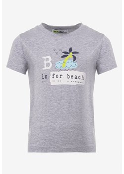 Szara Koszulka Agathano ze sklepu Born2be Odzież w kategorii T-shirty chłopięce - zdjęcie 142202426