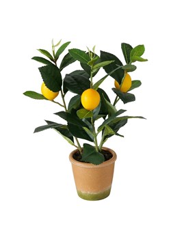 Boltze sztuczne drzewko w doniczce Lemon ze sklepu ANSWEAR.com w kategorii Dekoracje - zdjęcie 142499009