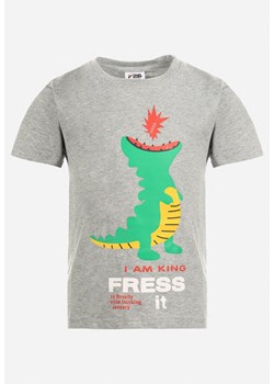 Szara Koszulka Bathine ze sklepu Born2be Odzież w kategorii T-shirty chłopięce - zdjęcie 142584739