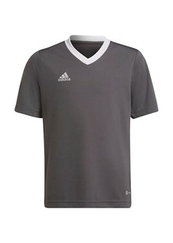 Koszulka juniorska Entrada 22 Jersey Adidas ze sklepu SPORT-SHOP.pl w kategorii Bluzki dziewczęce - zdjęcie 144848089