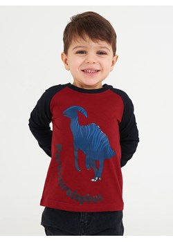 GATE Bawełniany T-shirt z blokami kolorów i graficznym nadrukiem 3Y ze sklepu gateshop w kategorii T-shirty chłopięce - zdjęcie 151939408