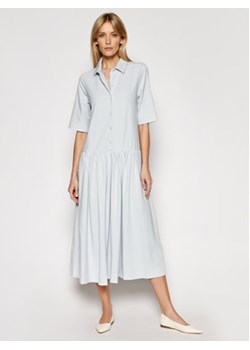 Max Mara Leisure Sukienka koszulowa Ceci 36210216600 Szary Regular Fit ze sklepu MODIVO w kategorii Sukienki - zdjęcie 153345346
