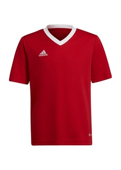 Koszulka juniorska Entrada 22 Jersey Adidas ze sklepu SPORT-SHOP.pl w kategorii Bluzki dziewczęce - zdjęcie 154202929