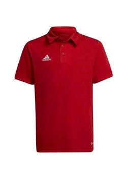 Koszulka juniorska polo Entrada 22 Adidas ze sklepu SPORT-SHOP.pl w kategorii T-shirty chłopięce - zdjęcie 154212795
