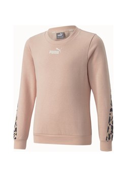 Bluza juniorska Alpha Crew Puma ze sklepu SPORT-SHOP.pl w kategorii Bluzy dziewczęce - zdjęcie 154237916