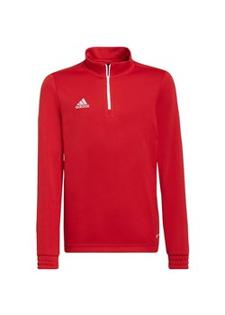 Bluza juniorska Entrada 22 Top Training Adidas ze sklepu SPORT-SHOP.pl w kategorii Bluzy chłopięce - zdjęcie 154238627