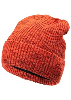 Czapka zimowa Liam Iguana ze sklepu SPORT-SHOP.pl w kategorii Czapki zimowe damskie - zdjęcie 154240368