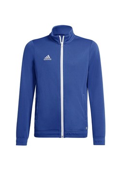 Bluza męska Entrada 22 Track Adidas ze sklepu SPORT-SHOP.pl w kategorii Bluzy męskie - zdjęcie 154247857