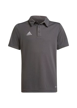 Koszulka juniorska polo Entrada 22 Adidas ze sklepu SPORT-SHOP.pl w kategorii T-shirty chłopięce - zdjęcie 154253736
