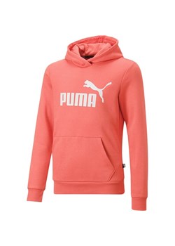 Bluza juniorska Essentials Logo Hoodie Puma ze sklepu SPORT-SHOP.pl w kategorii Bluzy dziewczęce - zdjęcie 154270546