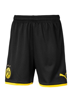 Spodenki chłopięce BVB Home Replica Puma ze sklepu SPORT-SHOP.pl w kategorii Spodenki chłopięce - zdjęcie 154285488